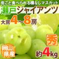 岡山産 ”瀬戸ジャイアンツ” 大房限定 4～8房 約4kg ぶどう[B2]【予約 8月以降】
