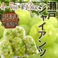 岡山産 ”瀬戸ジャイアンツ” 訳あり 4～7房 約3kg ぶどう[M1]【予約 8月以降】 送料無料