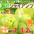 岡山産 ”瀬戸ジャイアンツ” 大房限定 2房 約1～1.2kg ぶどう[M2]【予約 8月以降】 送料無料