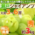 岡山産 ”瀬戸ジャイアンツ” 大房限定 3～6房 約3kg ぶどう[M2]【予約 8月以降】 送料無料