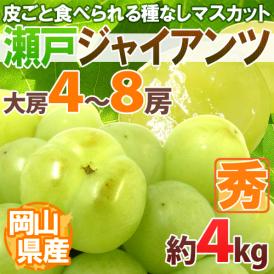 岡山産 ”瀬戸ジャイアンツ” 大房限定 4～8房 約4kg ぶどう[M2]【予約 8月以降】 送料無料