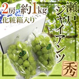 岡山産 ”瀬戸ジャイアンツ” 2房 約1kg 化粧箱 ぶどう[K1]【予約 8月以降】 送料無料