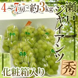 岡山産 ”瀬戸ジャイアンツ” 4～7房 約3kg 化粧箱 ぶどう[K1]【予約 8月以降】 送料無料