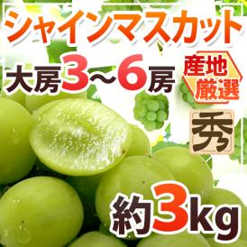 ”シャインマスカット” 秀品 大房限定 3～6房 約3kg 産地厳選[M2]【予約 8月下旬以降】 送料無料