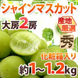 ”シャインマスカット” 秀品 大房限定 2房 約1～1.2kg 化粧箱入り 産地厳選[K2]【予約 8月下旬以降】 送料無料