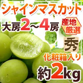 ”シャインマスカット” 秀品 大房限定 2～4房 約2kg 化粧箱入り 産地厳選[K2]【予約 8月下旬以降】 送料無料