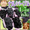長野産 ”ナガノパープル” 秀品 4〜7房 約3kg ぶどう【予約 9月以降】[M1] 送料無料