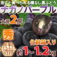 長野産 ”ナガノパープル” 秀品 大房 2房 約1〜1.2kg 化粧箱入り ぶどう【予約 9月以降】[K2] 送料無料