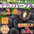 長野産 ”ナガノパープル” 秀品 大房限定 2〜4房 約2kg 化粧箱入り ぶどう【予約 9月以降】[K2] 送料無料