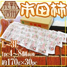 長野・南信州産 ”市田柿” 約170g×30pc（1パックに4～8個前後）L～3L【予約 12月以降】 送料無料