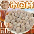 ”長野・南信州産 市田柿” L~3L 約1kg【予約 12月中旬以降】 送料無料