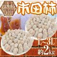 ”長野・南信州産 市田柿” L~3L 約2kg【予約 12月中旬以降】 送料無料