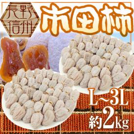 富山産 ”富山干柿” 2Lサイズ 大粒 16～18個入 大箱 化粧箱【予約