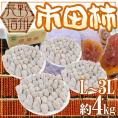 ”長野・南信州産 市田柿” L~3L 約4kg【予約 12月中旬以降】 送料無料