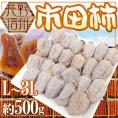 ”長野・南信州産 市田柿” L～3L 約500g【予約 12月中旬以降】 送料無料