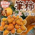 ”愛知県 幸田町 筆柿” 秀品 L～3L 約2kg ふで柿【予約 9月下旬以降】 送料無料