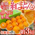愛媛中島産 ”紅まどんな” M~3L 10~16玉 約3kg ご家庭用 化粧箱【予約 12月以降】 送料無料