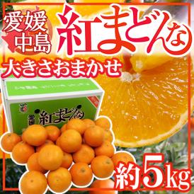 愛媛中島産 ”紅まどんな” 約5kg 大きさおまかせ ご家庭用【予約 12月以降】 送料無料
