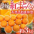 ”愛媛産 紅まどんな” 約3kg 大きさおまかせ ご家庭用【予約 12月以降】 送料無料