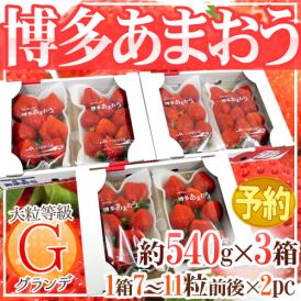 福岡産 博多 ”あまおういちご” 等級G（グランデ） 3箱 6パック入り（1パック約270g）【予約 12月以降】 送料無料