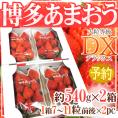 福岡産 博多 ”あまおういちご” 等級DX(デラックス) 2箱 4パック入り(1パック約270g)【予約 12月以降】 送料無料