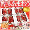 福岡産 博多 ”あまおういちご” 等級DX(デラックス) 4箱 8パック入り(1パック約270g)【予約 12月以降】 送料無料