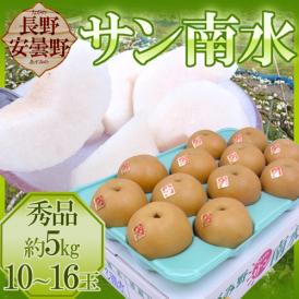 長野安曇野 ”サン南水梨” 秀品 大玉10～16玉 約5kg【予約 10月以降】 送料無料