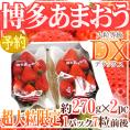 福岡産 博多 ”超大粒 あまおういちご” 等級DX(デラックス) 1箱 約270g(7粒前後)×2パック【予約 12月以降】 送料無料