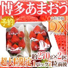 福岡産 博多 ”超大粒 あまおういちご” 等級DX（デラックス） 1箱 約270g（7粒前後）×2パック【予約 12月以降】 送料無料