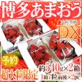 福岡産 博多 ”超大粒 あまおういちご” 等級DX(デラックス) 2箱(1箱あたり約270g(7粒前後)×2パック)【予約 12月以降】 送料無料