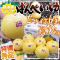 熊本県八代特産 ”晩白柚” ばんぺいゆ 秀品 Lサイズ 6玉 約10kg 化粧箱【予約 12月以降】 送料無料