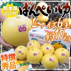 熊本県八代特産 ”晩白柚” ばんぺいゆ 秀品 Lサイズ 6玉 約10kg 化粧箱【予約 12月以降】 送料無料