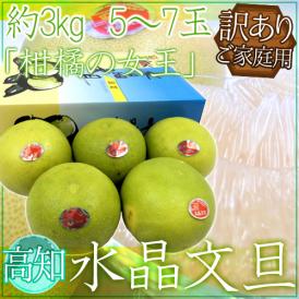 土佐高知 ”水晶文旦” 訳あり 大玉 5〜7玉 約3kg【予約 10月以降】 送料無料