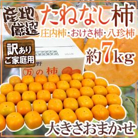 ”たねなし柿” 訳あり 約7kg 大きさおまかせ 産地厳選 種無し柿/庄内柿/おけさ柿【予約 10月以降】 送料無料