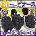 ”岡山産 種なしニューピオーネ” 優品 超大房 2～3房 約2～2.5kg ぶどう【予約 9月以降】 送料無料