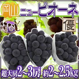 ”岡山産 種なしニューピオーネ” 優品 超大房 2～3房 約2～2.5kg ぶどう【予約 9月以降】 送料無料