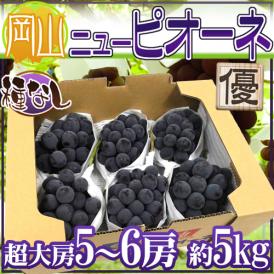 岡山産 ”種なしニューピオーネ” 優品 超大房 5～6房 約5kg ぶどう【予約 9月以降】 送料無料