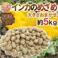 ”北海道 インカのめざめ” 訳あり 約5kg 大きさおまかせ ジャガイモ【予約 9月末以降】 送料無料