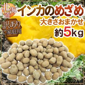北海道 ”インカのめざめ” 訳あり 約5kg 大きさおまかせ ジャガイモ【予約 入荷次第発送】 送料無料