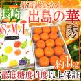 ”長崎産 出島の華” 秀品 S/M/Lサイズ 約1kg 化粧箱 味まる・味っ子の最上位等級【予約 12月中旬以降】 送料無料