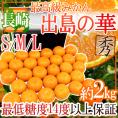 ”長崎産 出島の華” 秀品 S/M/Lサイズ 約2kg 化粧箱 味まる・味っ子の最上位等級【予約 12月中旬以降】 送料無料