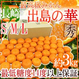 ”長崎産 出島の華” 秀品 S/M/Lサイズ 約3kg 化粧箱 味まる・味っ子の最上位等級【予約 12月中旬以降】 送料無料