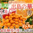 長崎産 ”出島の華” 秀品 S/M/Lサイズ 約5kg 味まる・味っ子の最上位等級【予約 12月中旬以降】 送料無料