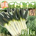 ”群馬県 下仁田ネギ” 4〜10本前後 約1kg 殿様ねぎ【予約 11月中下旬以降】 送料無料