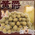 じゃがいも ”北海道 北見産 黄爵” 秀品 Mサイズ 約5kg 男爵芋【予約 8月末以降】 送料無料
