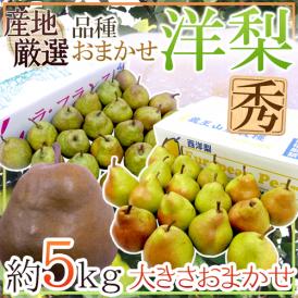 ”洋梨” 秀品 約5kg 品種おまかせ 大きさおまかせ 産地厳選 ラ・フランス、コミス、ル・レクチェなど【予約 10月中旬以降】 送料無料