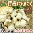 青森県 訳あり ”国産にんにく” 約1kg 大きさおまかせ
