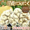 【送料無料】青森県 訳あり ”国産にんにく” 約3kg 大きさおまかせ