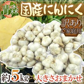 【送料無料】青森県 訳あり ”国産にんにく” 約5kg 大きさおまかせ