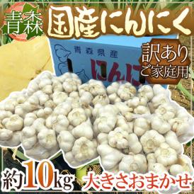 【送料無料】青森県 訳あり ”国産にんにく” 約10kg 大きさおまかせ